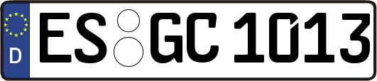 ES-GC1013