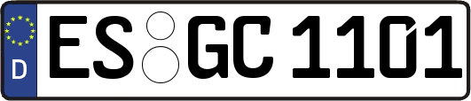 ES-GC1101