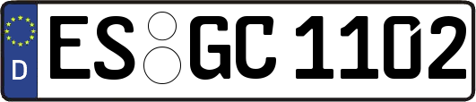 ES-GC1102