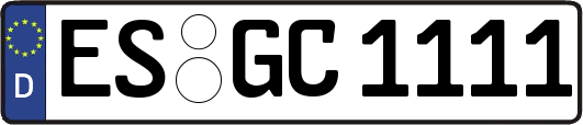 ES-GC1111