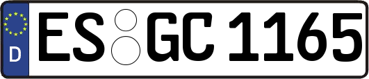 ES-GC1165