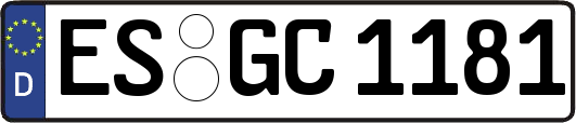 ES-GC1181