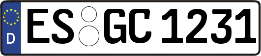 ES-GC1231