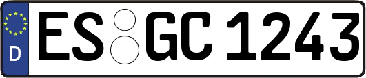 ES-GC1243
