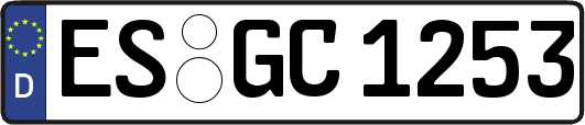 ES-GC1253