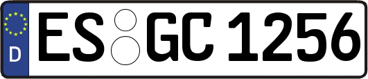 ES-GC1256
