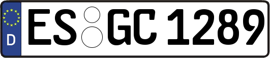 ES-GC1289