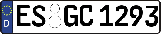 ES-GC1293