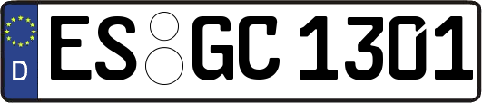 ES-GC1301