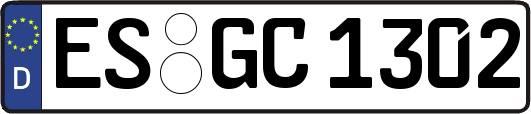 ES-GC1302