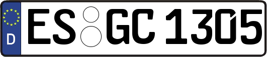 ES-GC1305
