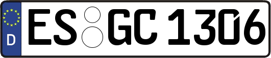 ES-GC1306