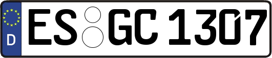 ES-GC1307