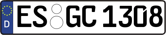 ES-GC1308