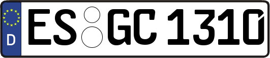 ES-GC1310