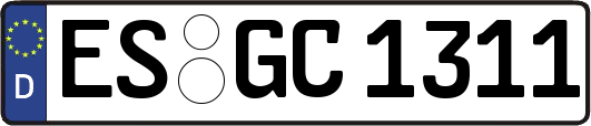 ES-GC1311