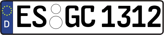 ES-GC1312