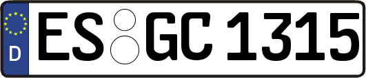ES-GC1315