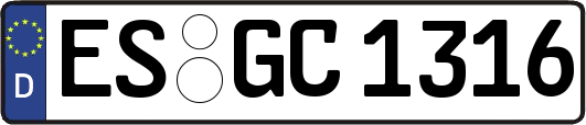 ES-GC1316