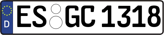 ES-GC1318