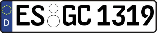ES-GC1319