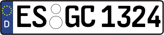 ES-GC1324