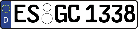 ES-GC1338