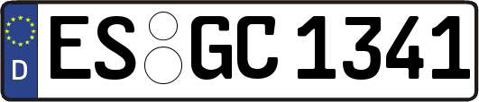 ES-GC1341
