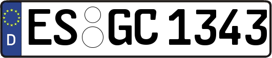 ES-GC1343