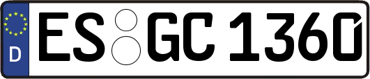 ES-GC1360