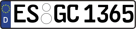 ES-GC1365