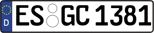 ES-GC1381