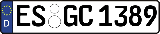 ES-GC1389