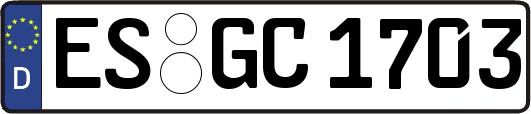 ES-GC1703