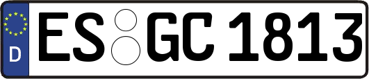 ES-GC1813