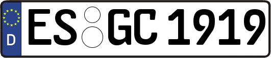 ES-GC1919