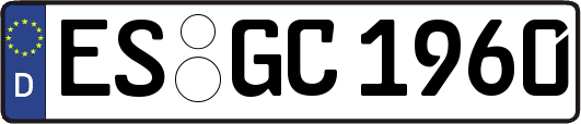 ES-GC1960