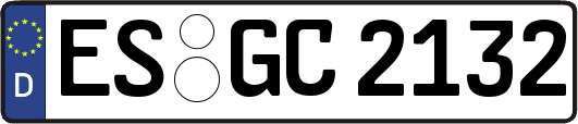 ES-GC2132