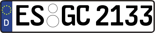 ES-GC2133