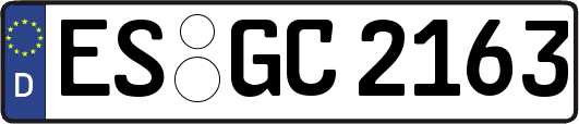 ES-GC2163