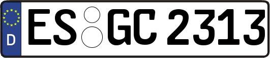 ES-GC2313