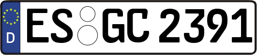 ES-GC2391