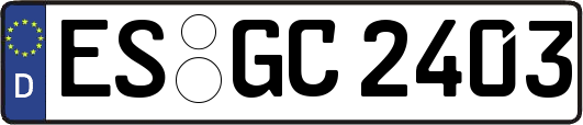 ES-GC2403