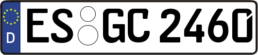 ES-GC2460