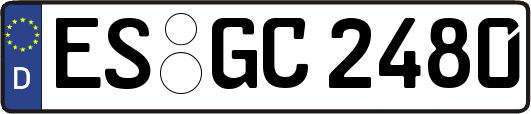 ES-GC2480