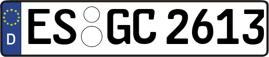 ES-GC2613