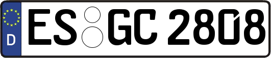 ES-GC2808