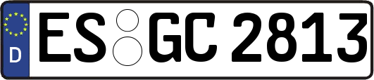 ES-GC2813