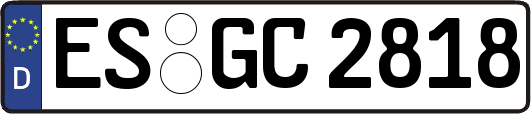 ES-GC2818