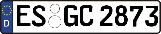 ES-GC2873